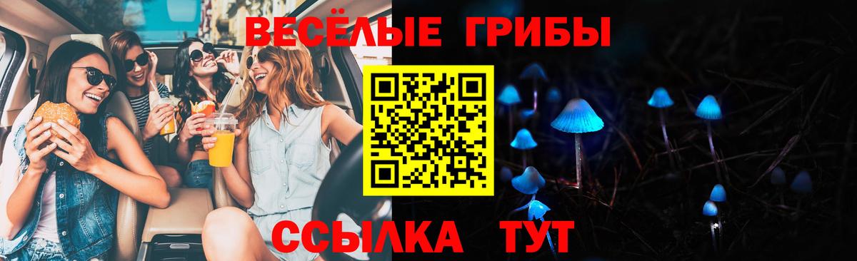 Ачинск  Галлюциногенные грибы прущие грибы  Вход с VPN 